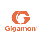Gigamon Cyber